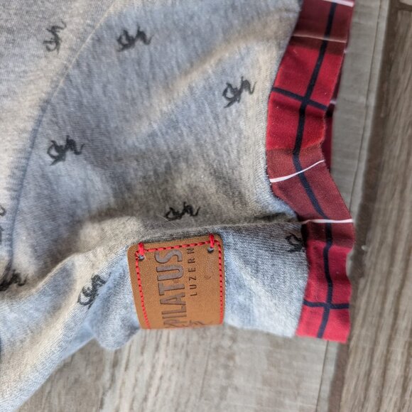 Pilatus Luzern Youth's Gray Graphic T-Shirt Size M Swiss Flag Dragon Print - Picture 5 of 8